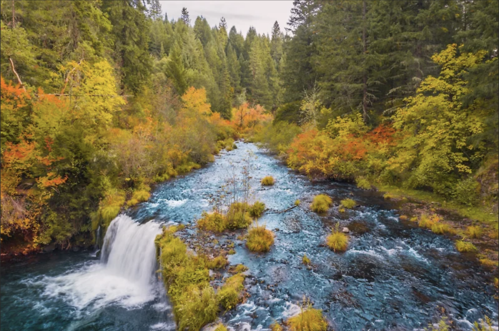 Refill a Prescription Shady Cove Pharmacy