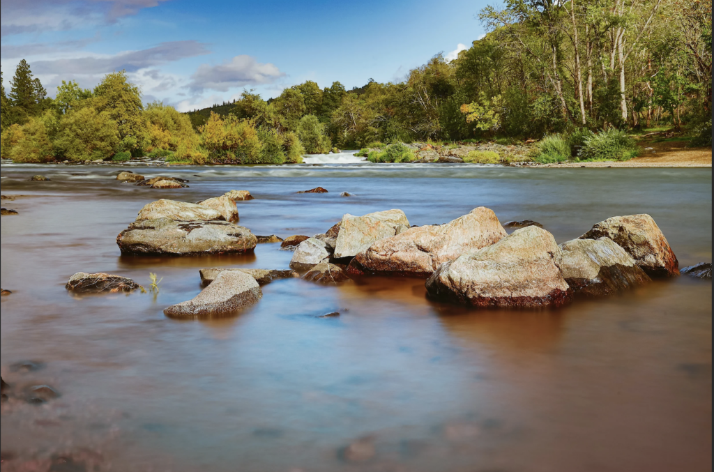 About Shady Cove Pharmacy