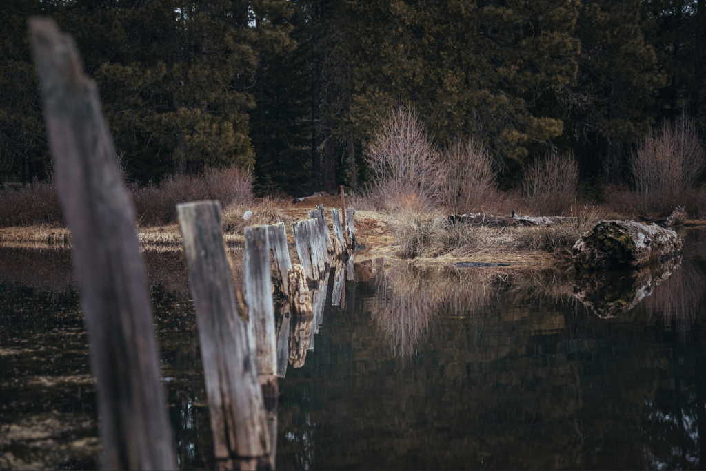 Durable Medical Equipment Shady Cove Pharmacy